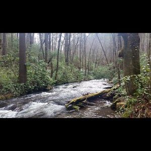 Meet your Posher, Deirdre